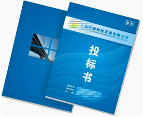 項目標(biāo)書翻譯多少錢，標(biāo)書翻譯公司報價